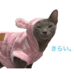 achi.20220905