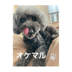 nobo_20220905161347