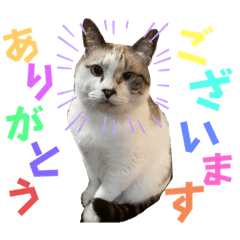 saori_20220905182137