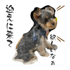 mizuki_20220905194307