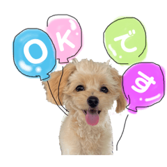 Mizuki_20220905201937