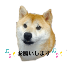 yuuko_20220905205944