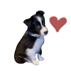 natsumi_20220905180836