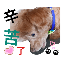 CoCo日常篇（三）