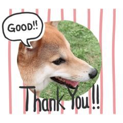sachiko_20220905212530