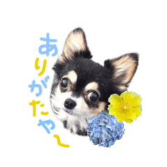 rinrin_20220906124655