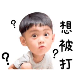 飛飛&爍爍：你要確定餒？