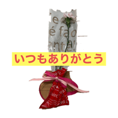 Yokko_20220906125921