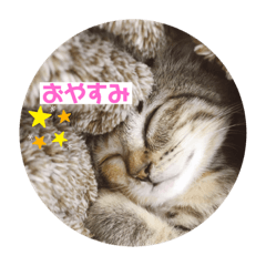 Rina_20220906161048