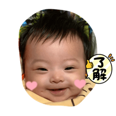kiho0