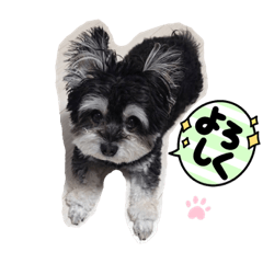 yukari_20220906204006