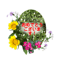 MiChiko_20220906195102