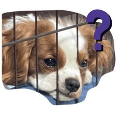 natsumi_20220907085605