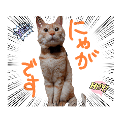 hana_20220906202418