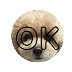 hiyori_20220906210034