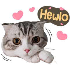 Happy DM V.1