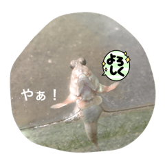 Kanon_20220906213748