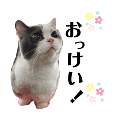 HIKARI_20220906213741