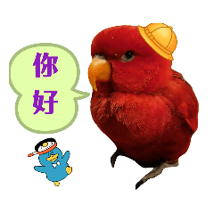 Frank Chuang_20220906164914