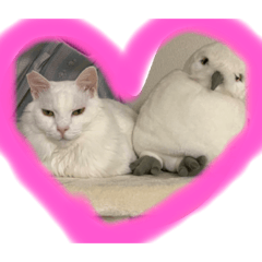 Hikari_20220906224339