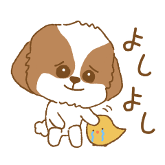 Shih Tzu stickers