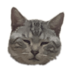 mizuki_20220906234650