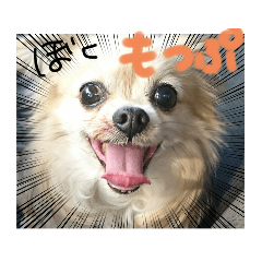 hana_20220907020349