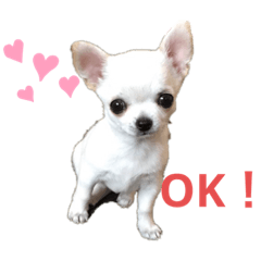 tomomi_20220906191647