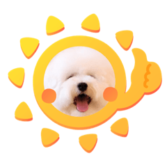omochi_20220907200611