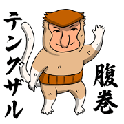 Bellyband proboscis monkey