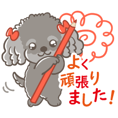 Black Toy Poodle Mimi-chan's Sticker