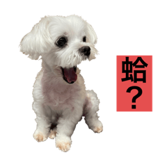 Kao Family sticker 1
