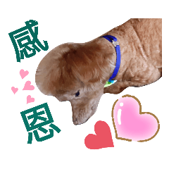 CoCo日常篇（五）