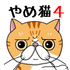 エキゾ猫ネルの八女弁・ちっご弁(福岡県)4