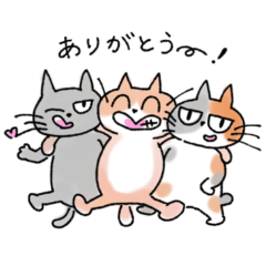Your cats. japanese