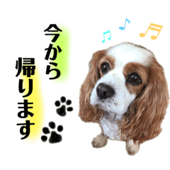 kotomaru_20220907225812