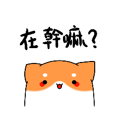柴犬貓貼圖