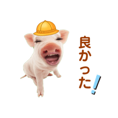 Pig_20220908112518