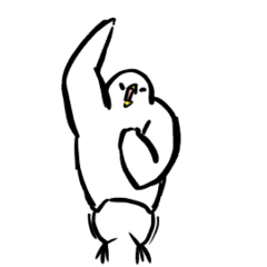 Bird bird bird animation