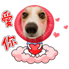 天使美基Morning2