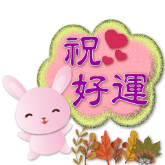 Cute Pink Rabbit-Autumn super practical