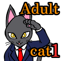 Adult cat 1