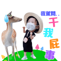 葶仔與樂弟的日常