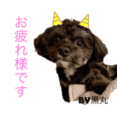 Rina_20220908163018