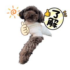 Hima_20220908163915