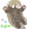 Red panda Pohe / Baby  / English