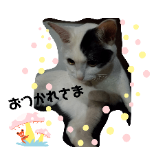 smile_20220908235028