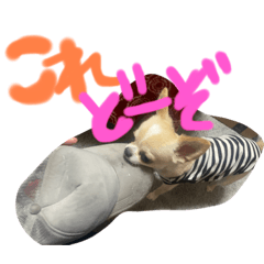 SHIHO_20220908175443