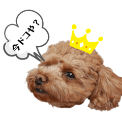 YUKARI_20220908202843