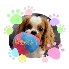 natsumi_20220908191107